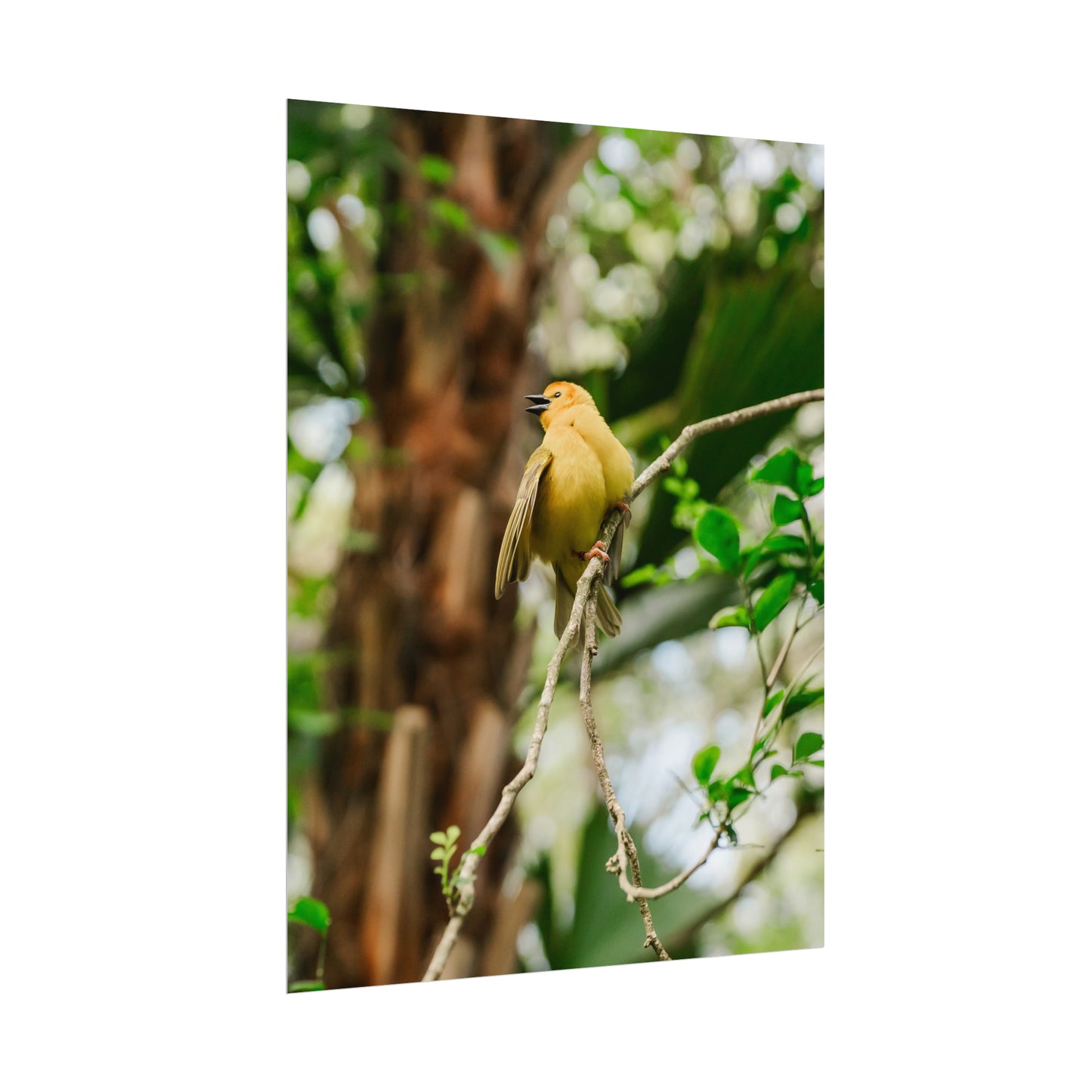 Pretty Serene Yellow - Unframed Print