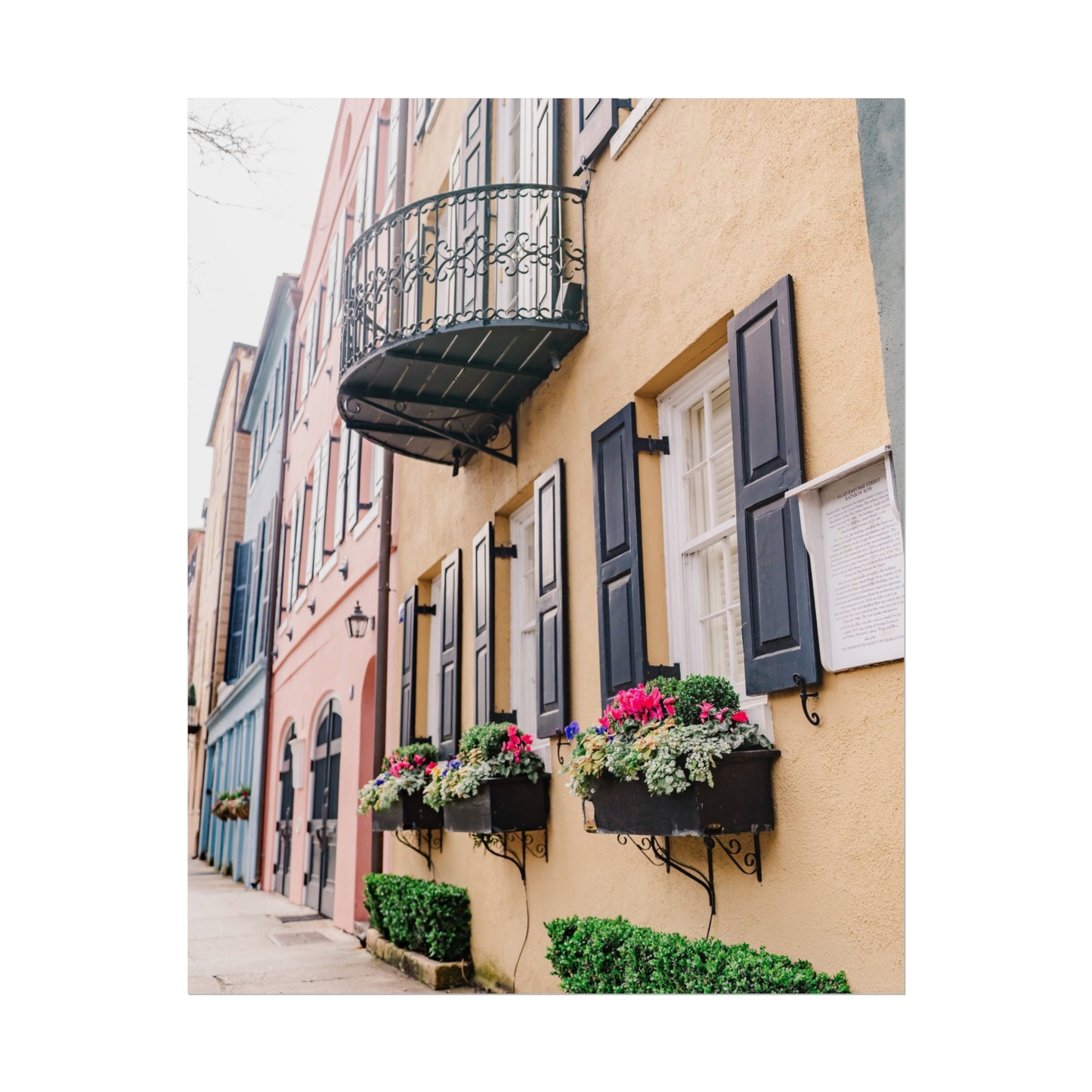 Charleston South Carolina Rainbow Row in Yellow - Unframed Print