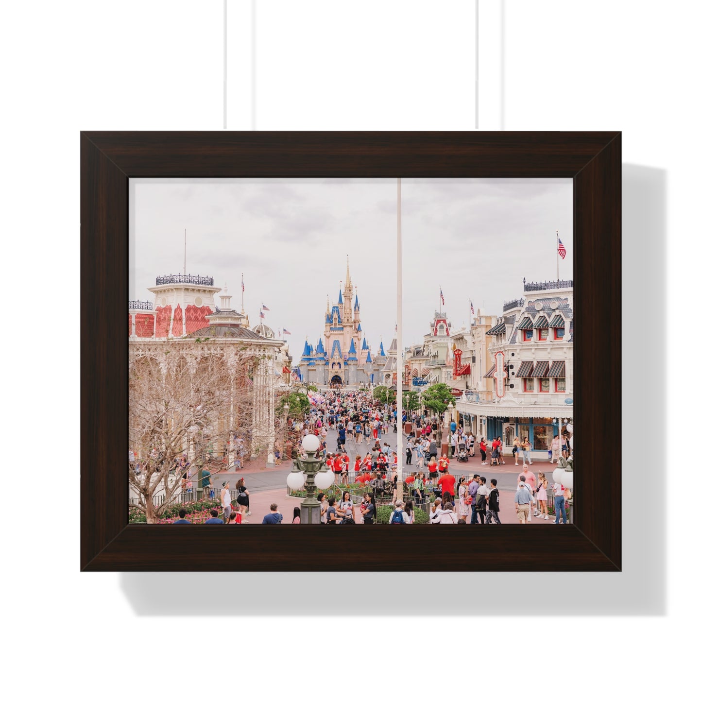 A Realistic Kingdom - Framed Print