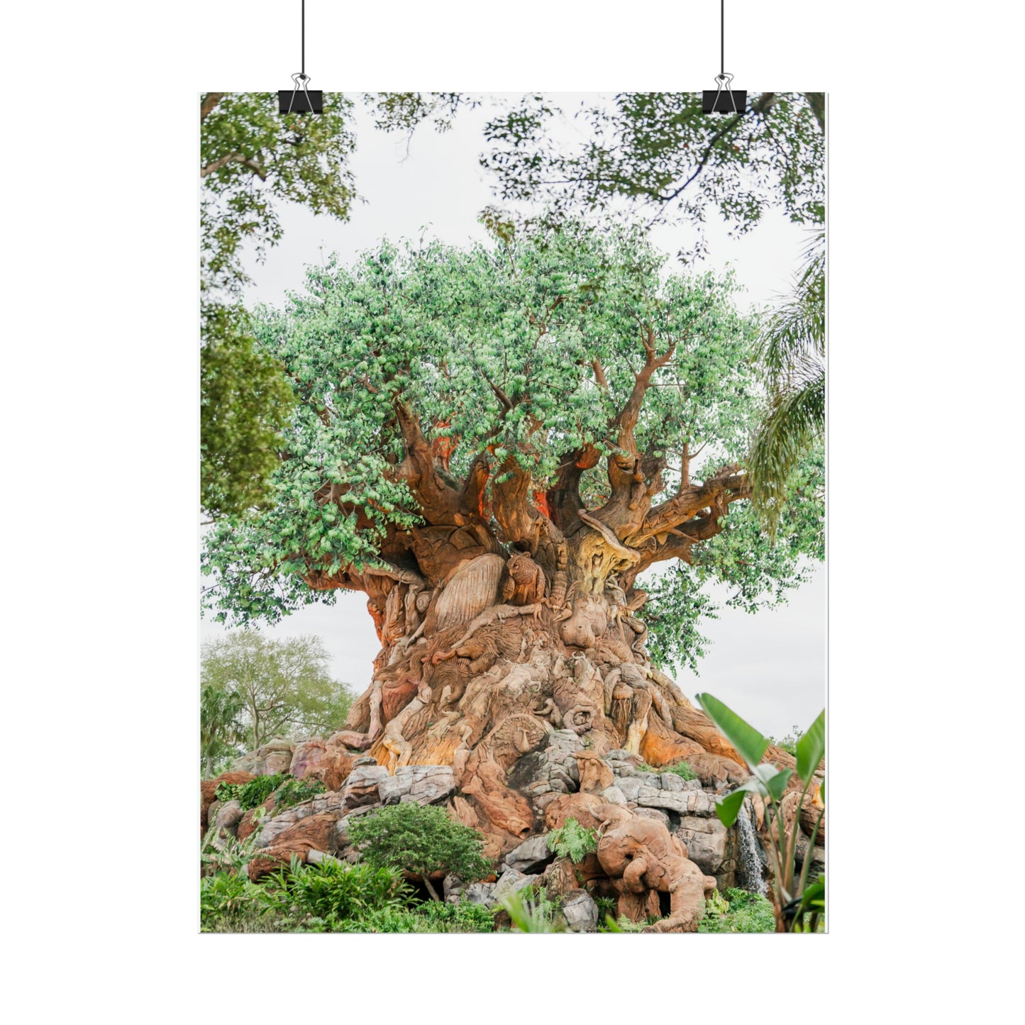 Tree of Life - Unframed Print