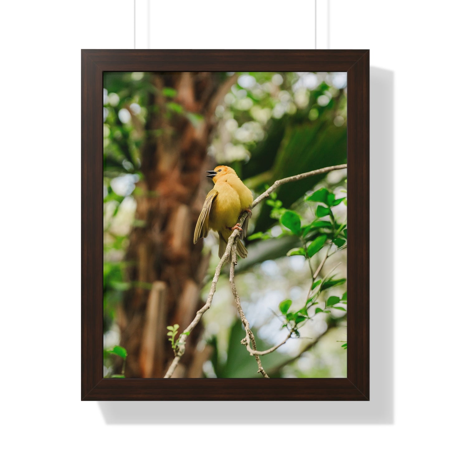 Yellow Bird of Animal Realm - Framed Print