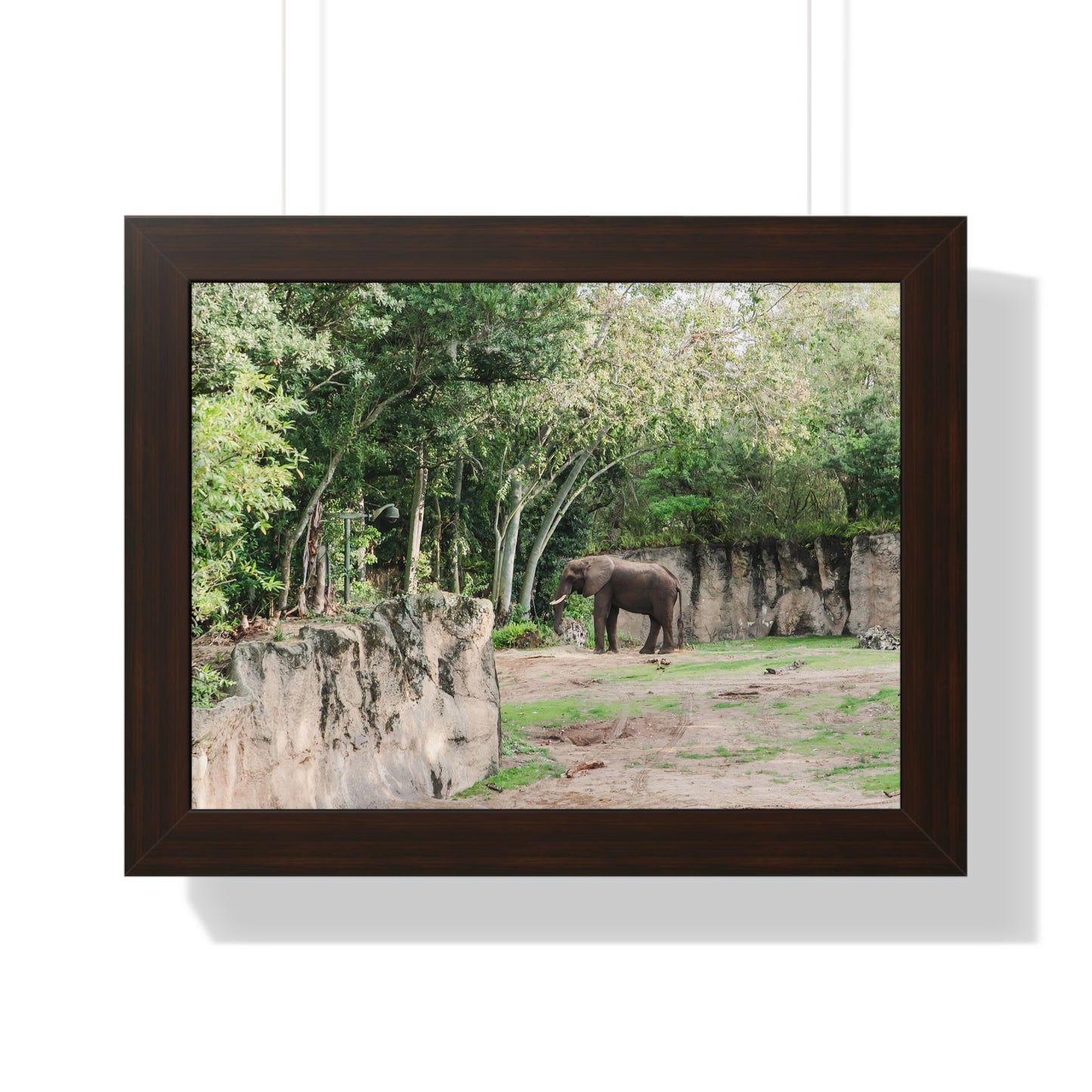 Kingdom Elephant - Framed Print