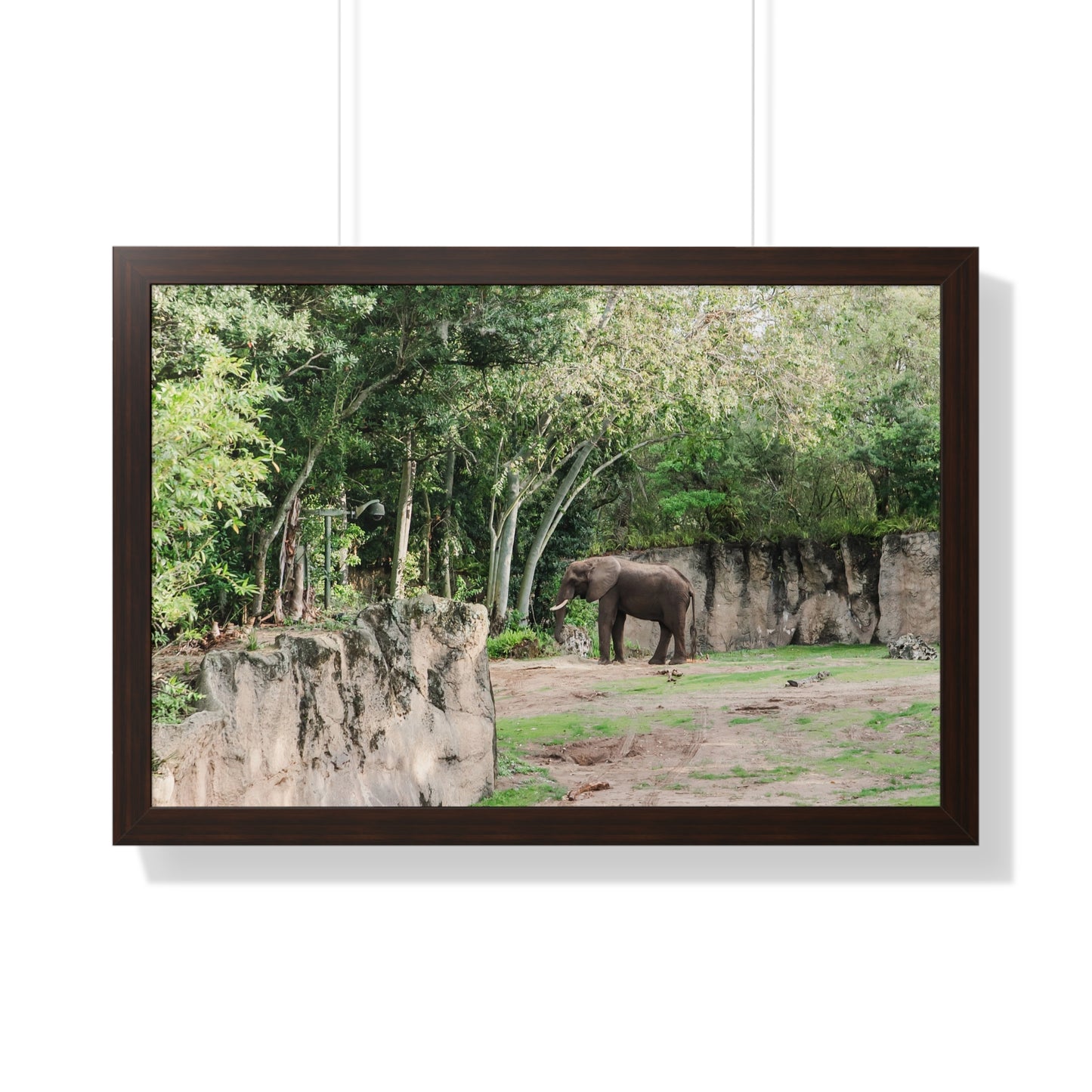 Kingdom Elephant - Framed Print