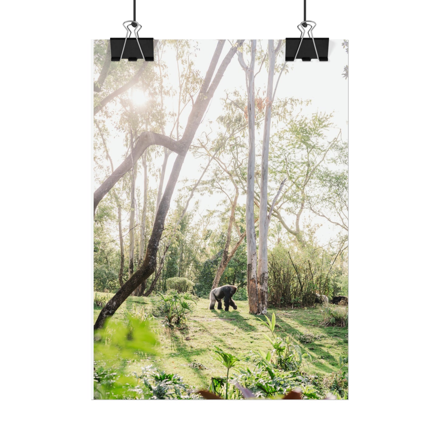 Magical Gorilla - Unframed Print