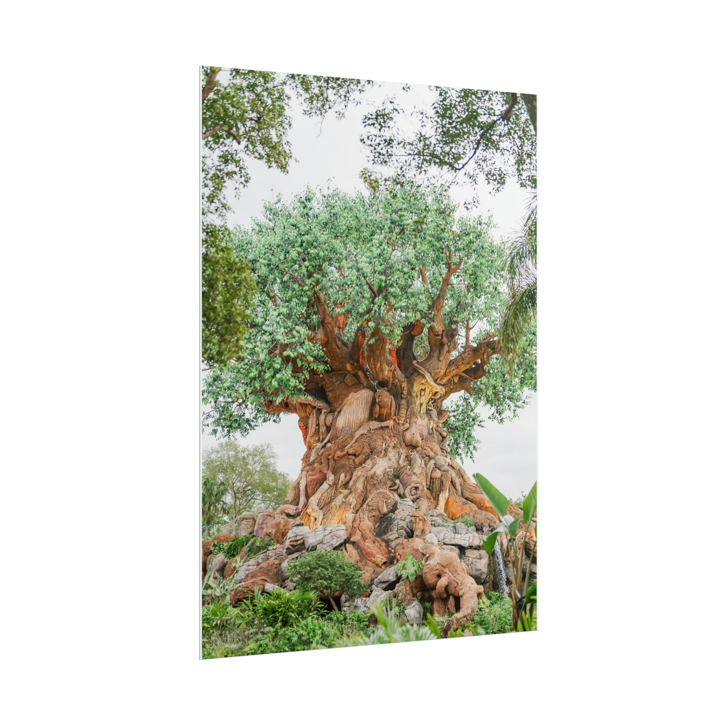 Tree of Life - Unframed Print