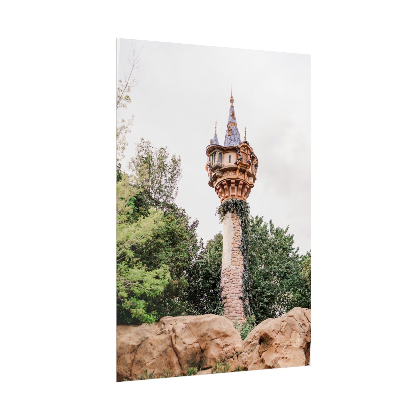 Golden Hair Tower - Unframed Print