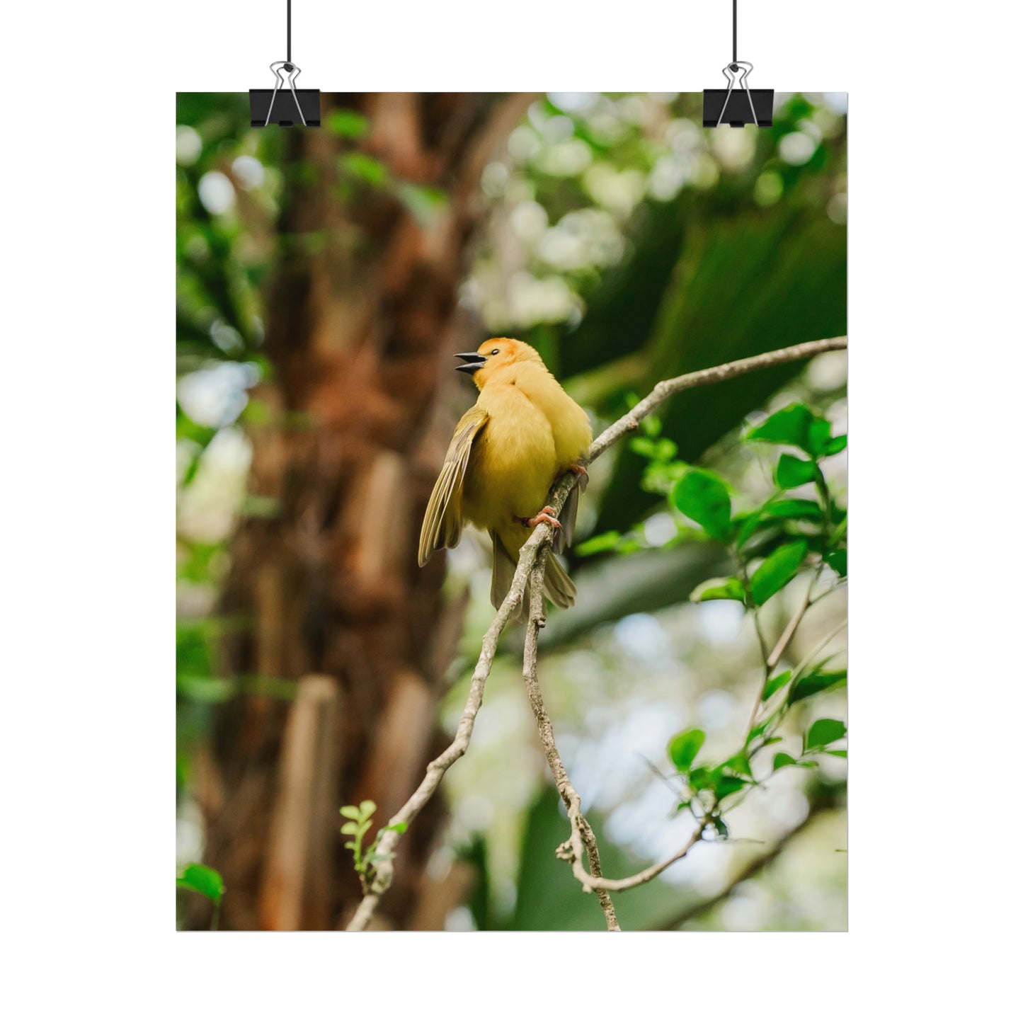 Pretty Serene Yellow - Unframed Print