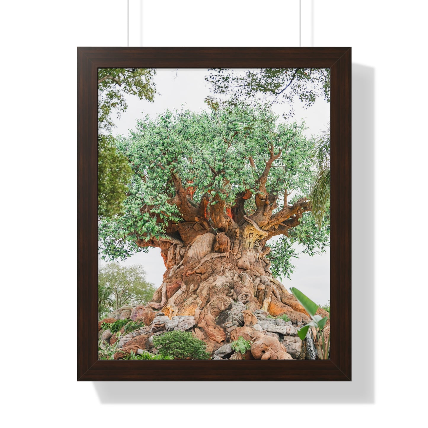 Tree of Life - Framed Print