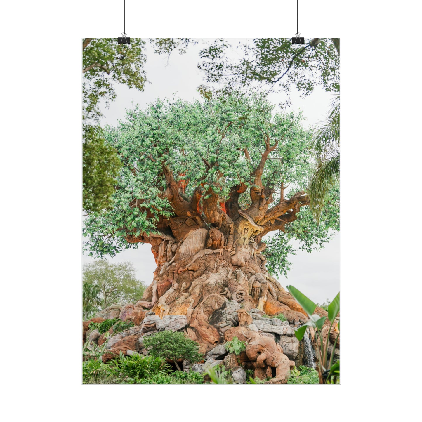 Tree of Life - Unframed Print