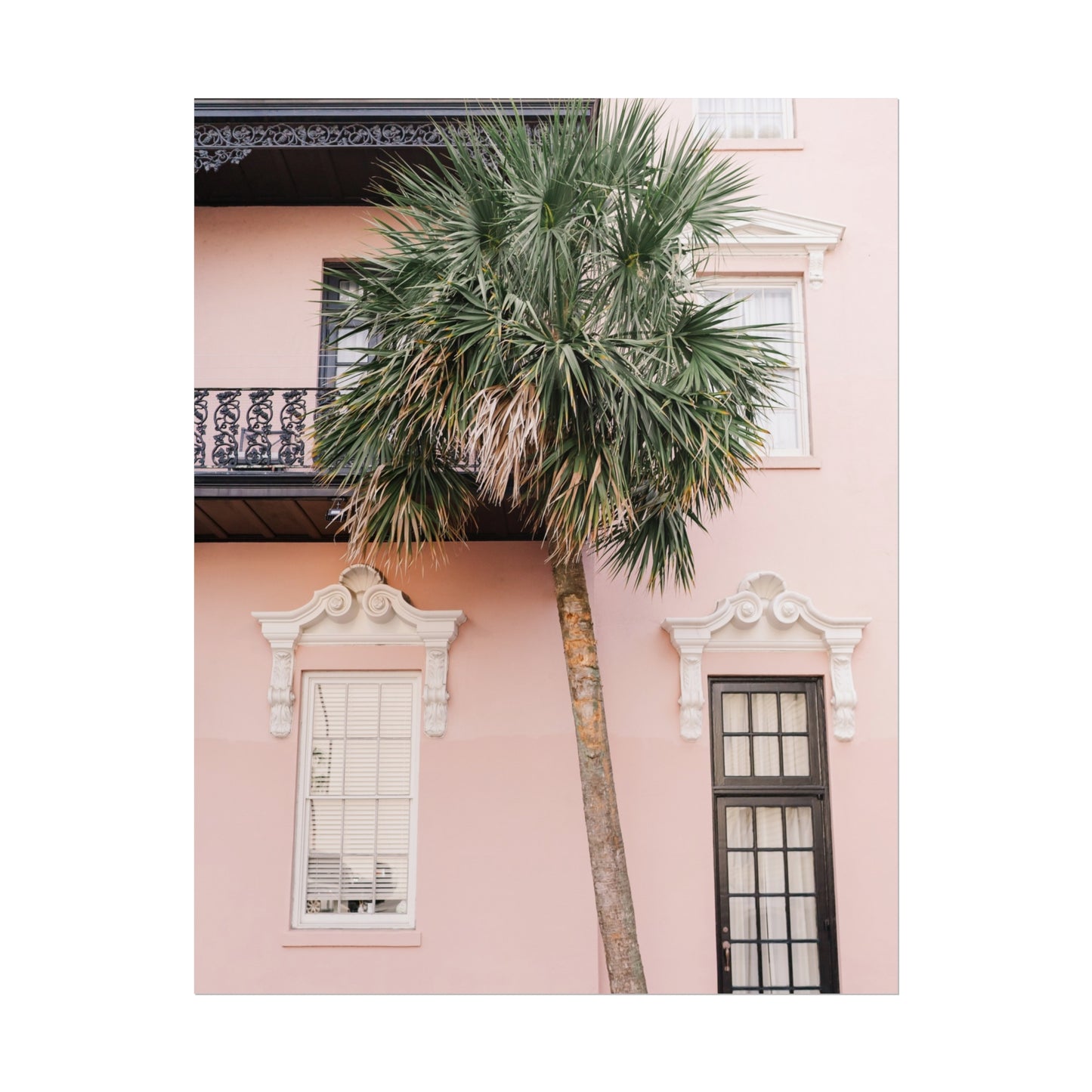 Charleston South Carolina Pink Palmetto - Unframed Print