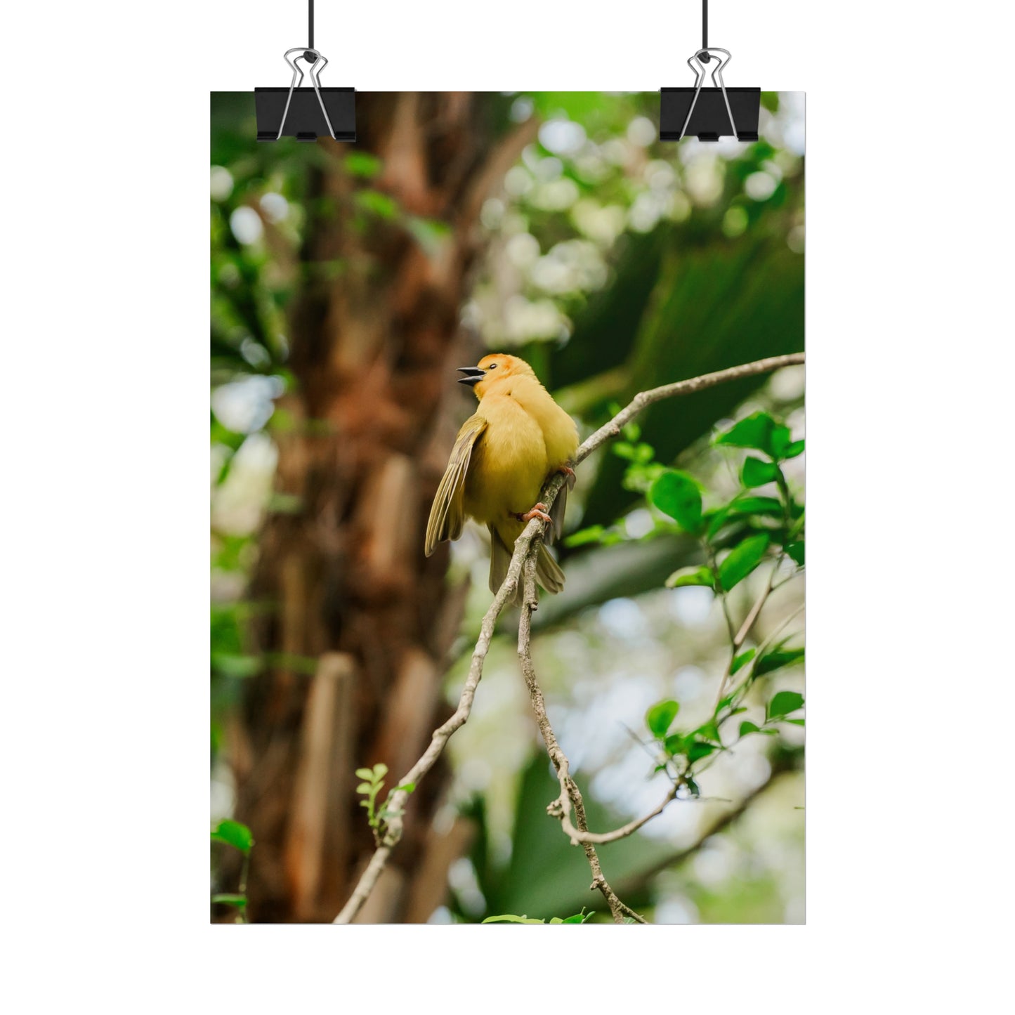 Pretty Serene Yellow - Unframed Print