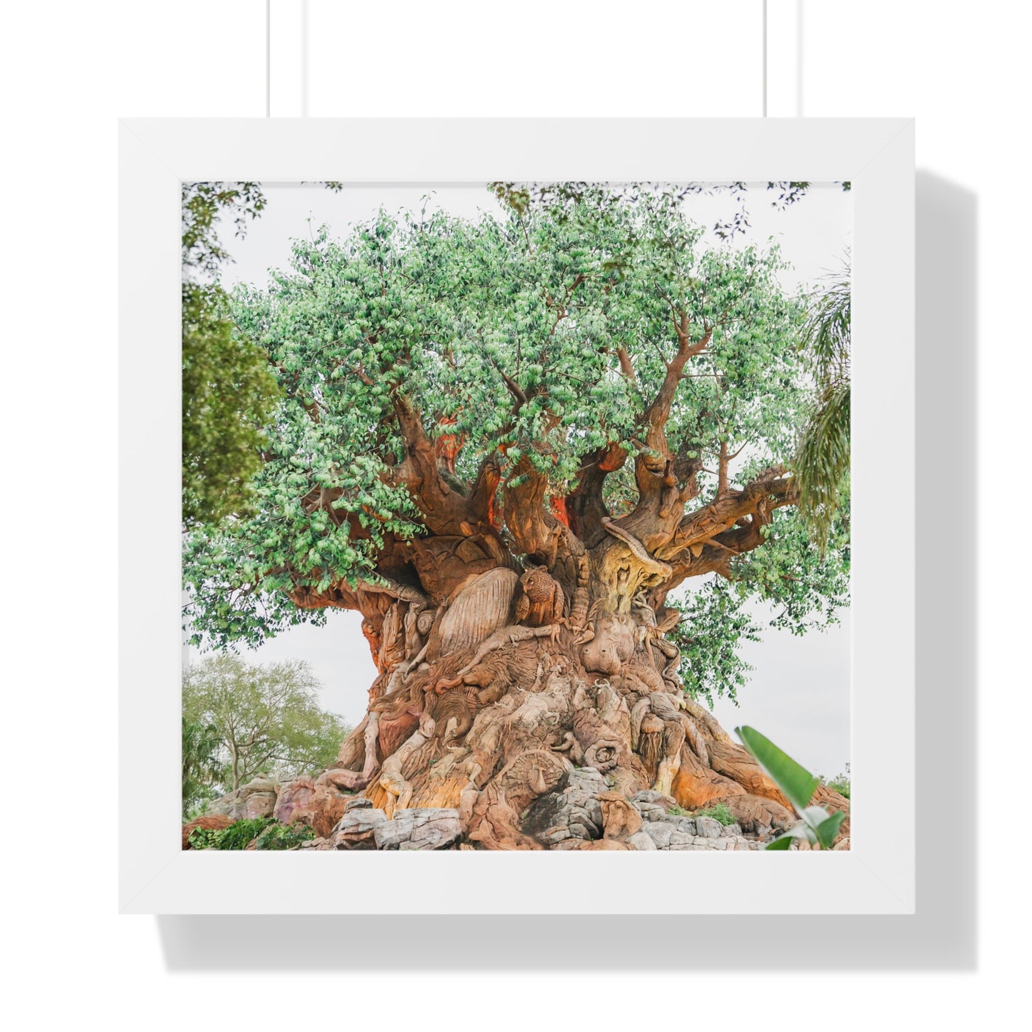 Tree of Life - Framed Print