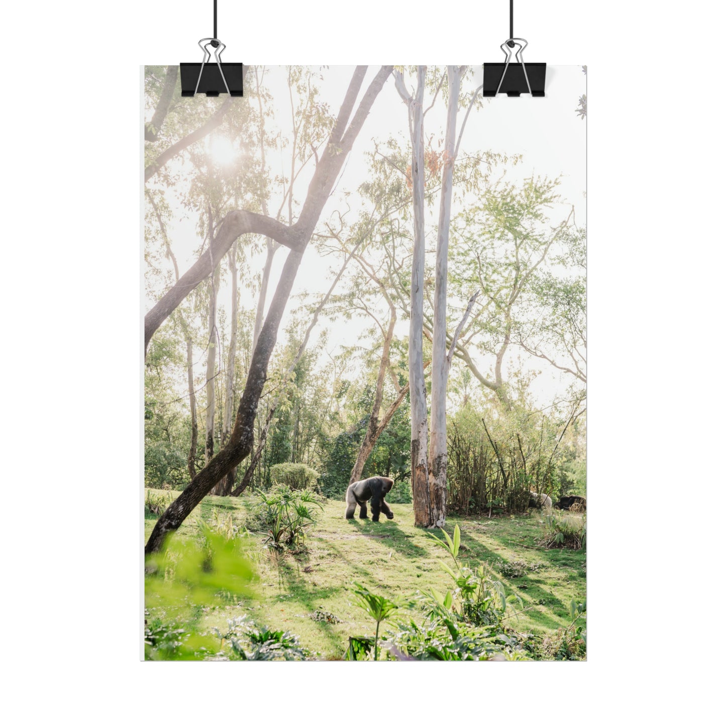 Magical Gorilla - Unframed Print