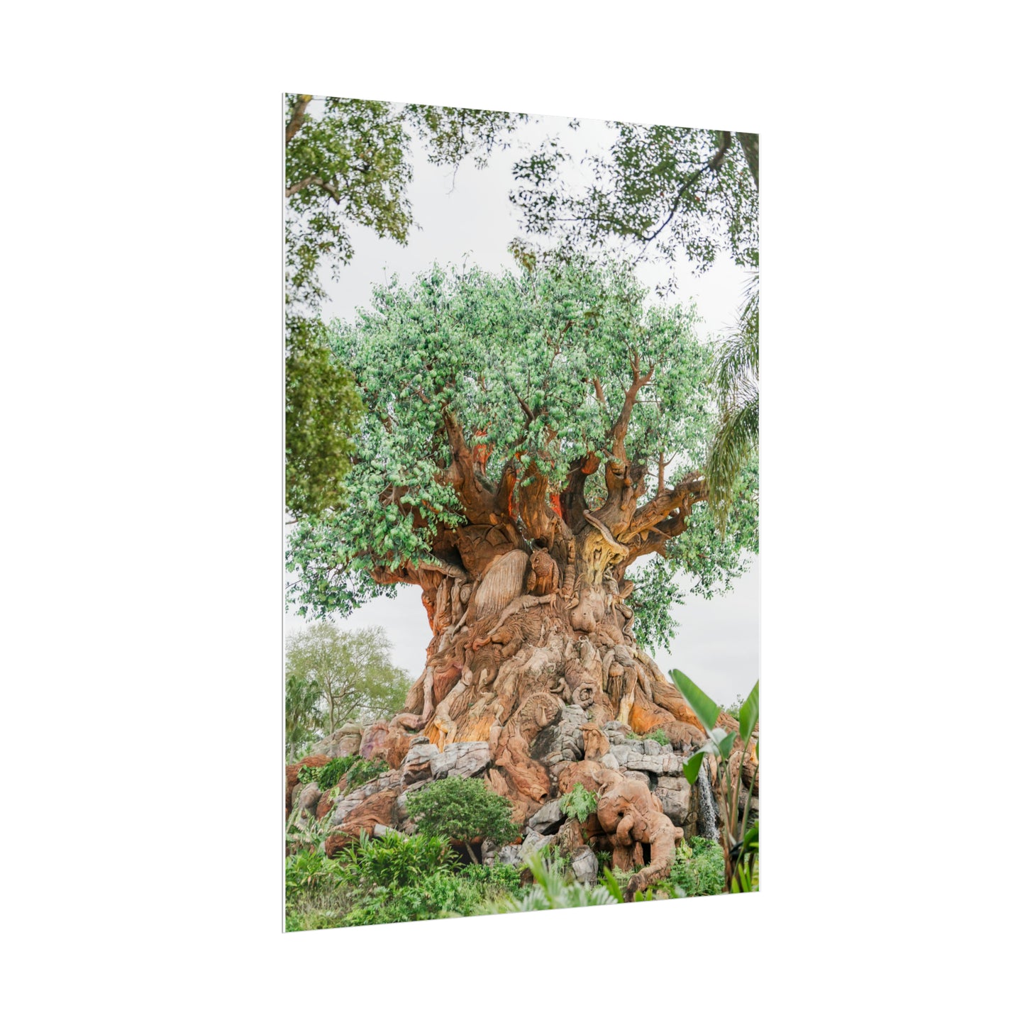 Tree of Life - Unframed Print