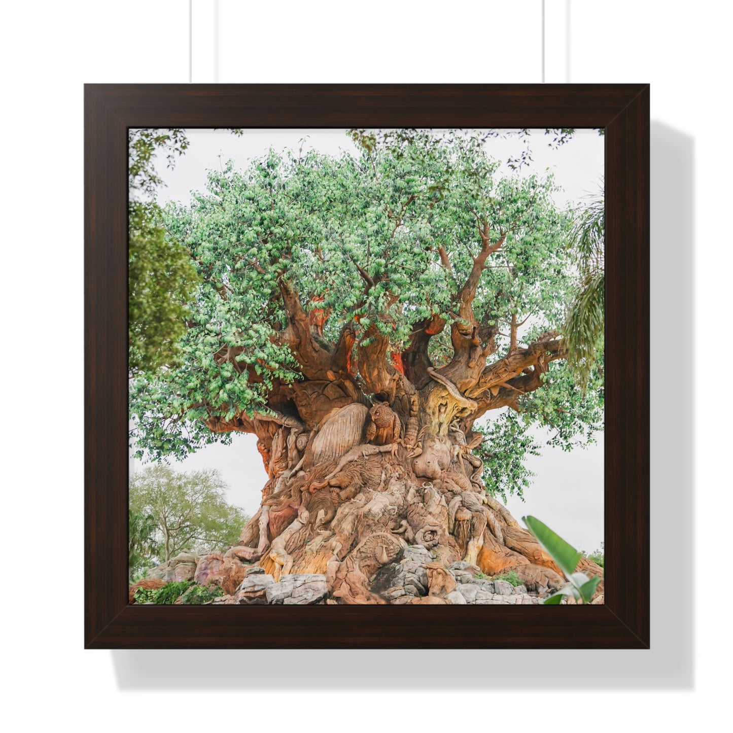 Tree of Life - Framed Print