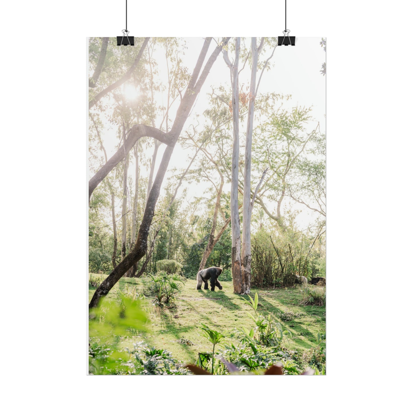 Magical Gorilla - Unframed Print