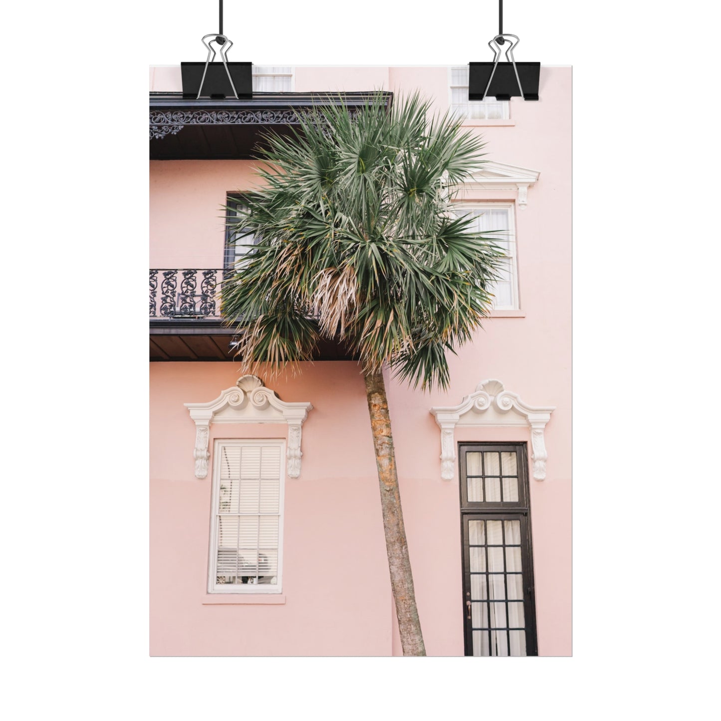 Charleston South Carolina Pink Palmetto - Unframed Print