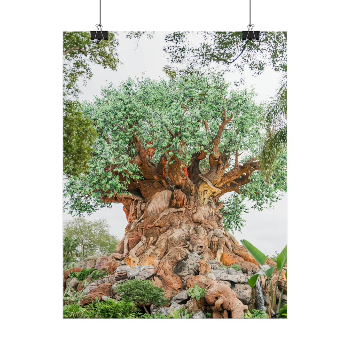 Tree of Life - Unframed Print