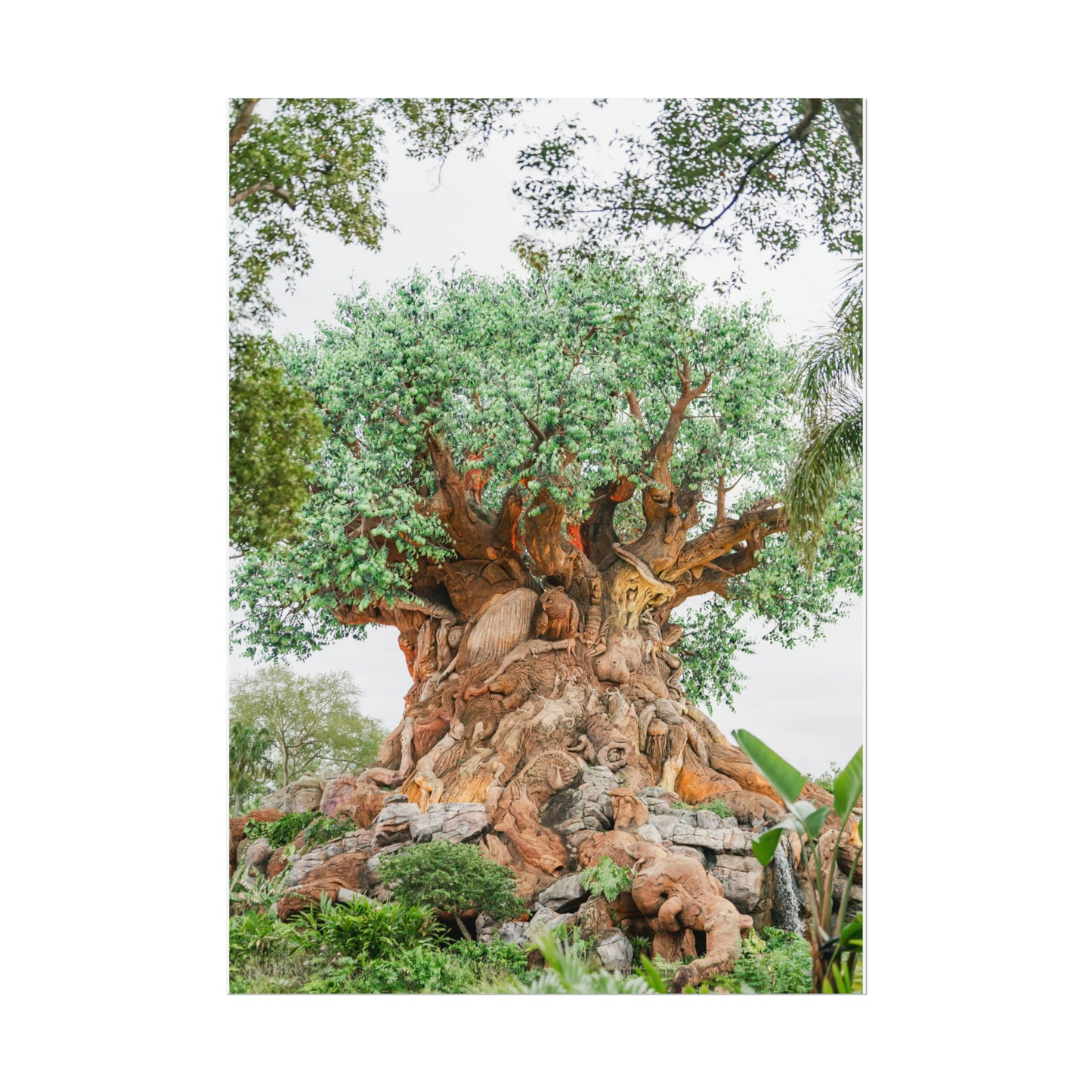 Tree of Life - Unframed Print