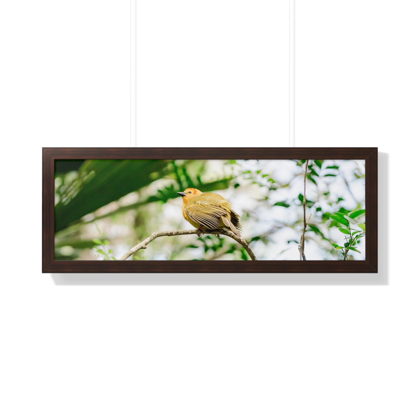 Magical Taveta Weaver - Framed Print