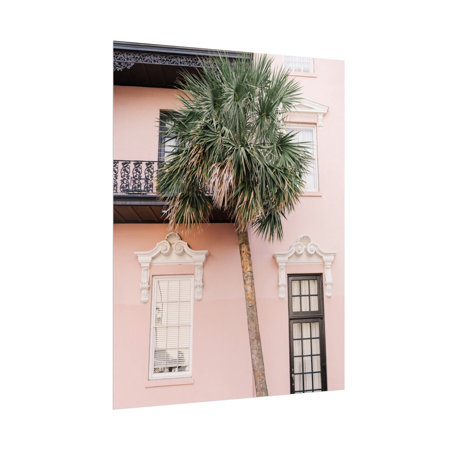 Charleston South Carolina Pink Palmetto - Unframed Print