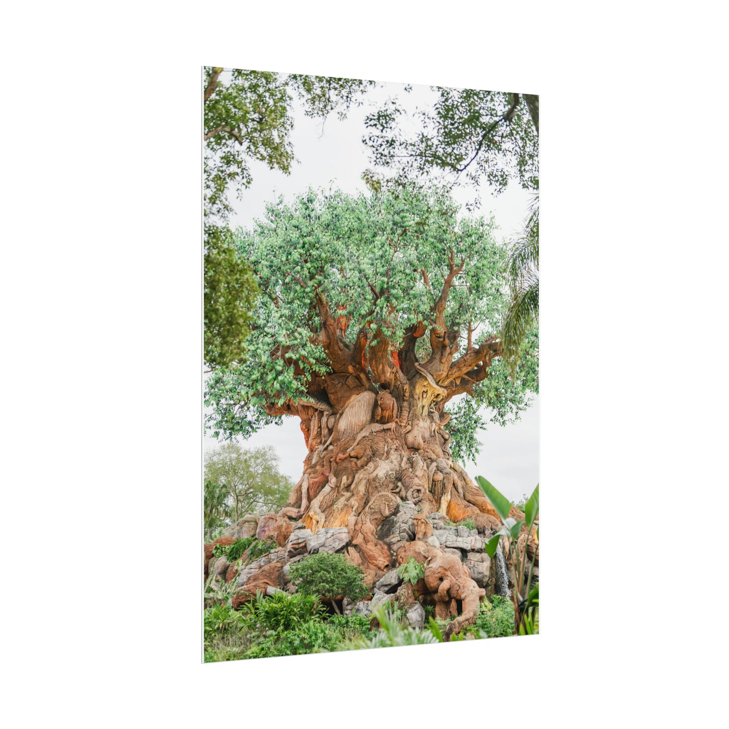 Tree of Life - Unframed Print