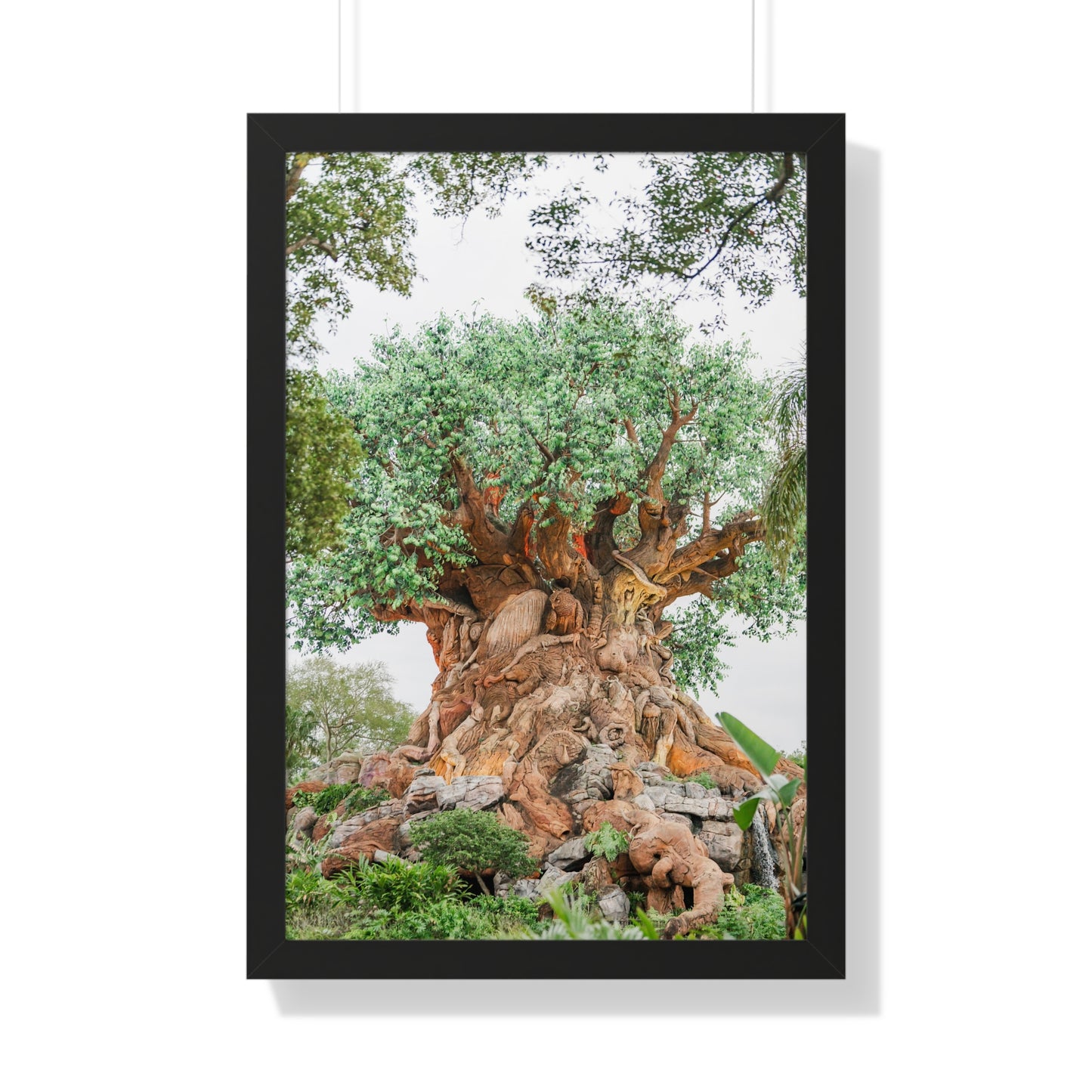 Tree of Life - Framed Print