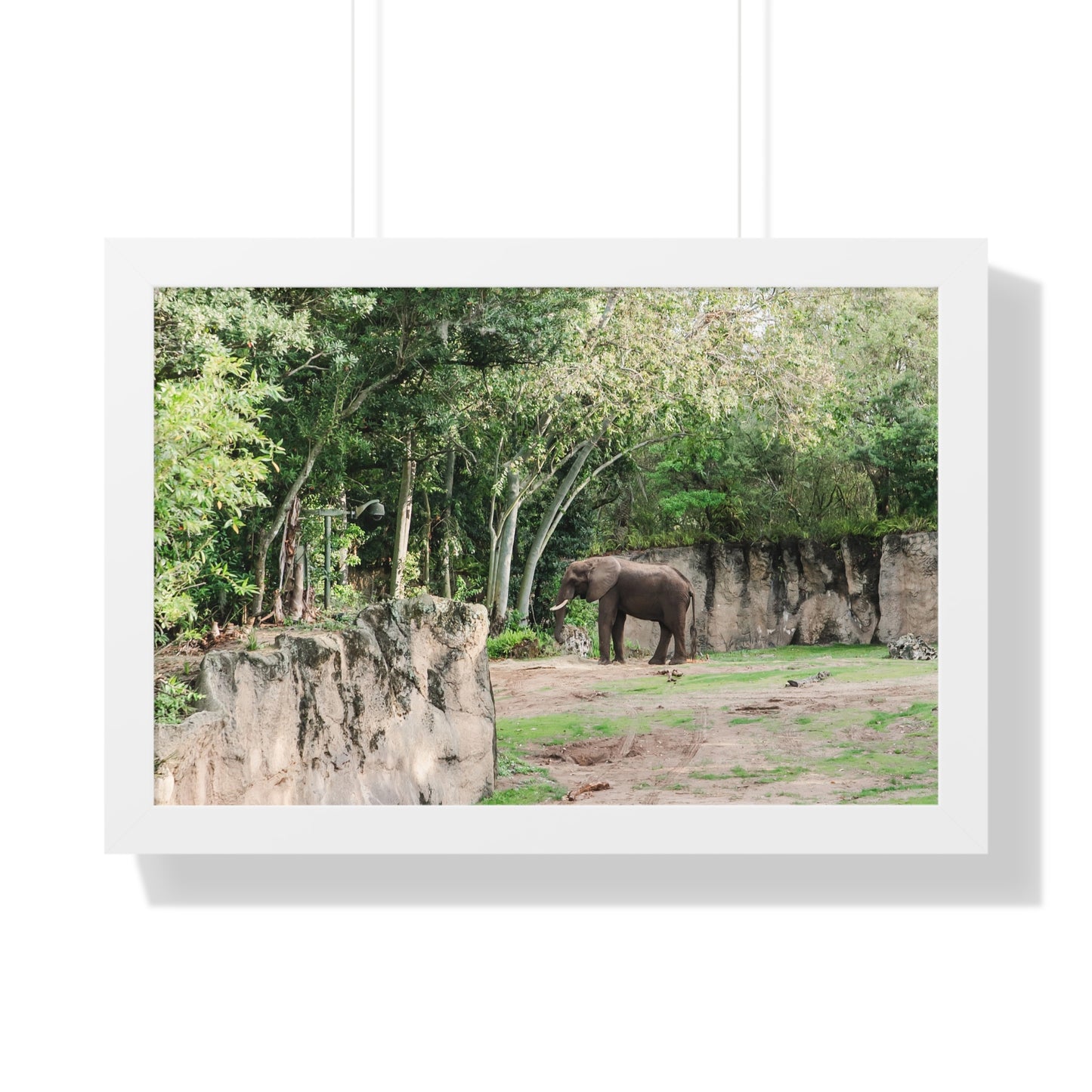 Kingdom Elephant - Framed Print