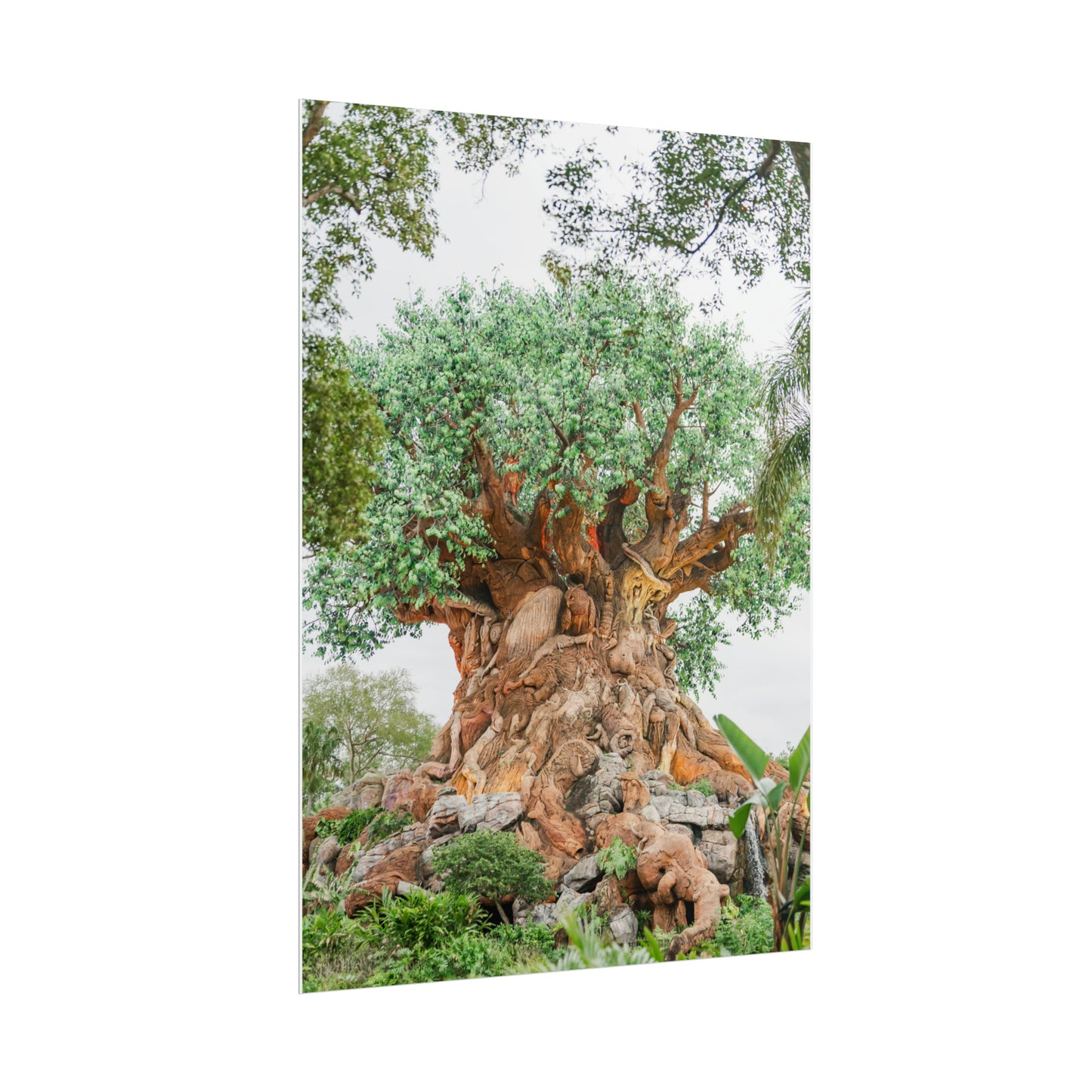 Tree of Life - Unframed Print