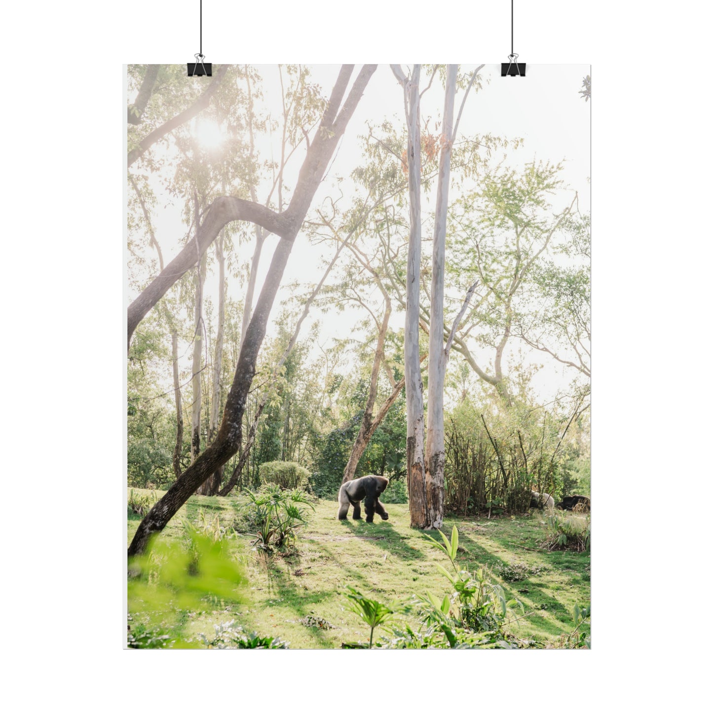 Magical Gorilla - Unframed Print