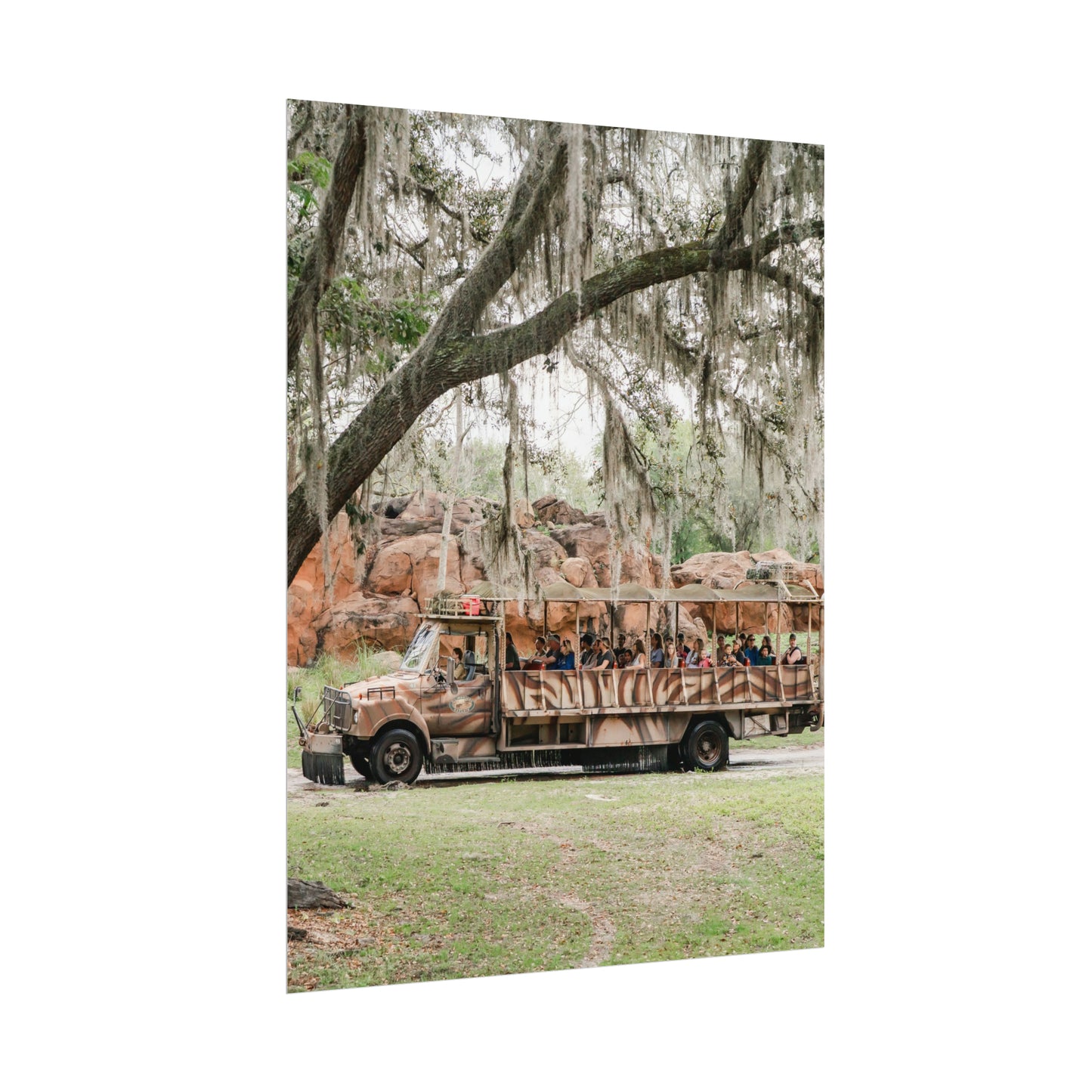 A Safari Truck - Unframed Print