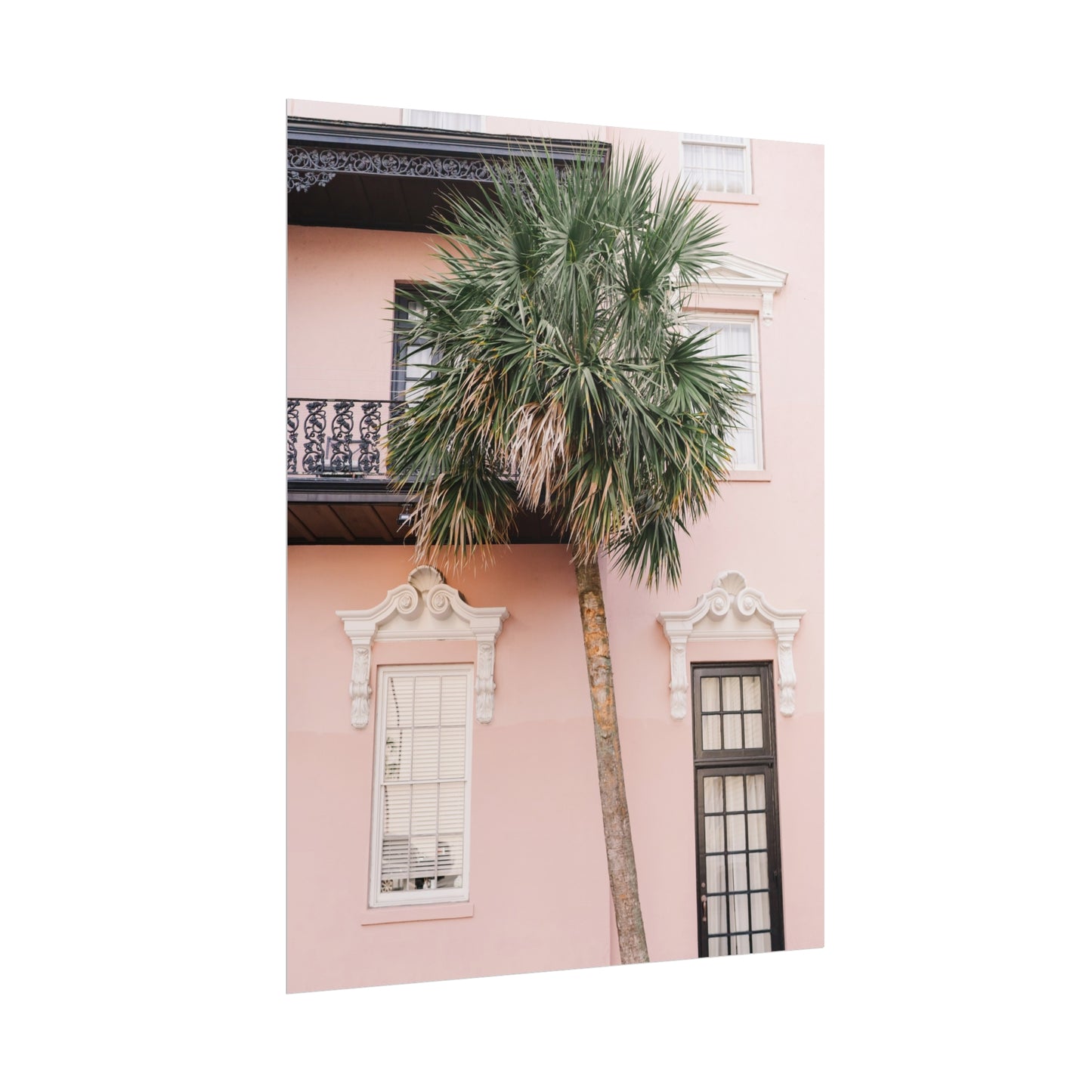 Charleston South Carolina Pink Palmetto - Unframed Print