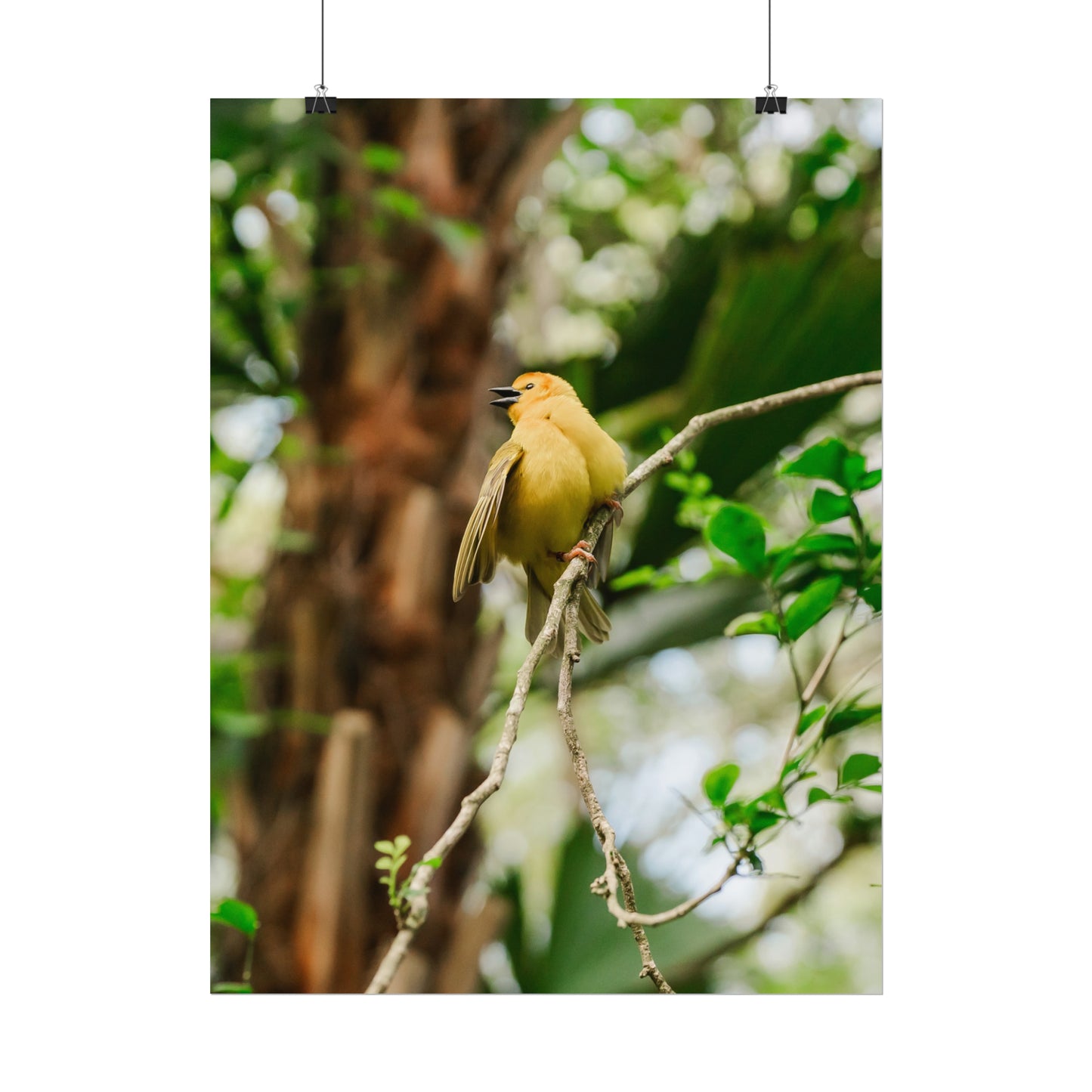 Pretty Serene Yellow - Unframed Print