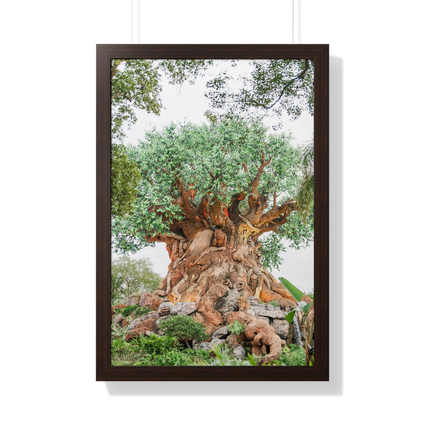 Tree of Life - Framed Print