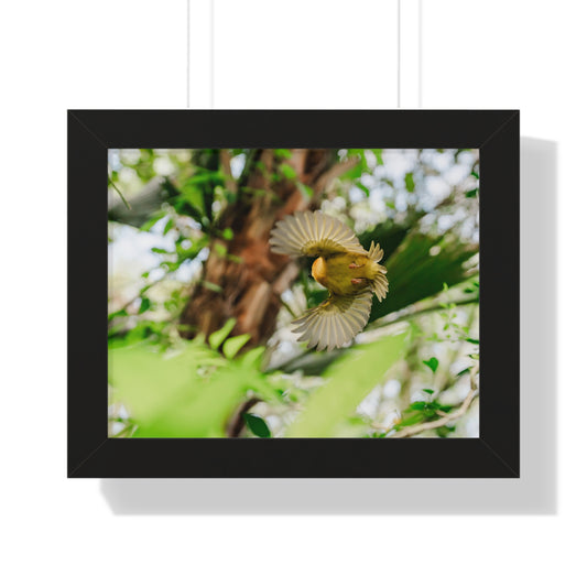 Flight in the Animal Realm - Framed Print