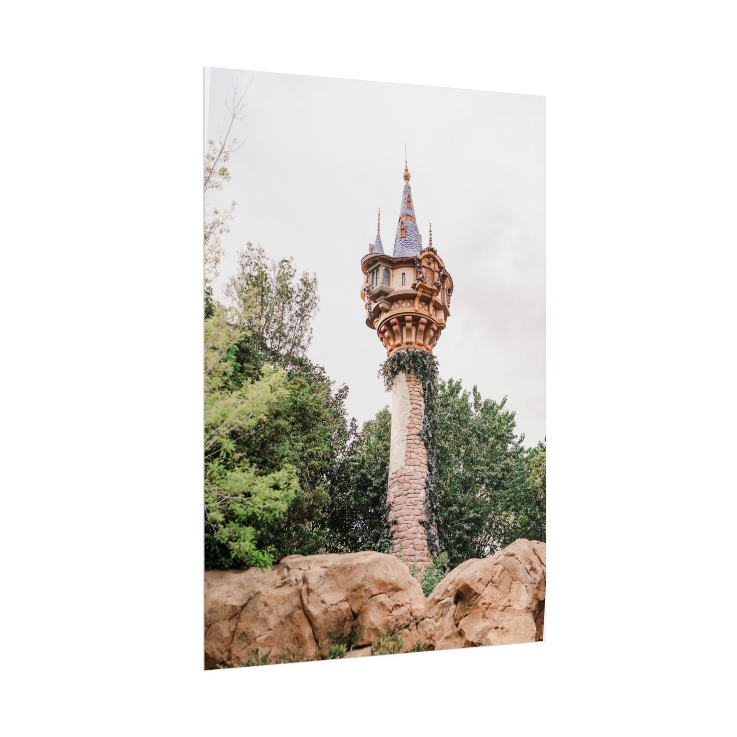 Golden Hair Tower - Unframed Print