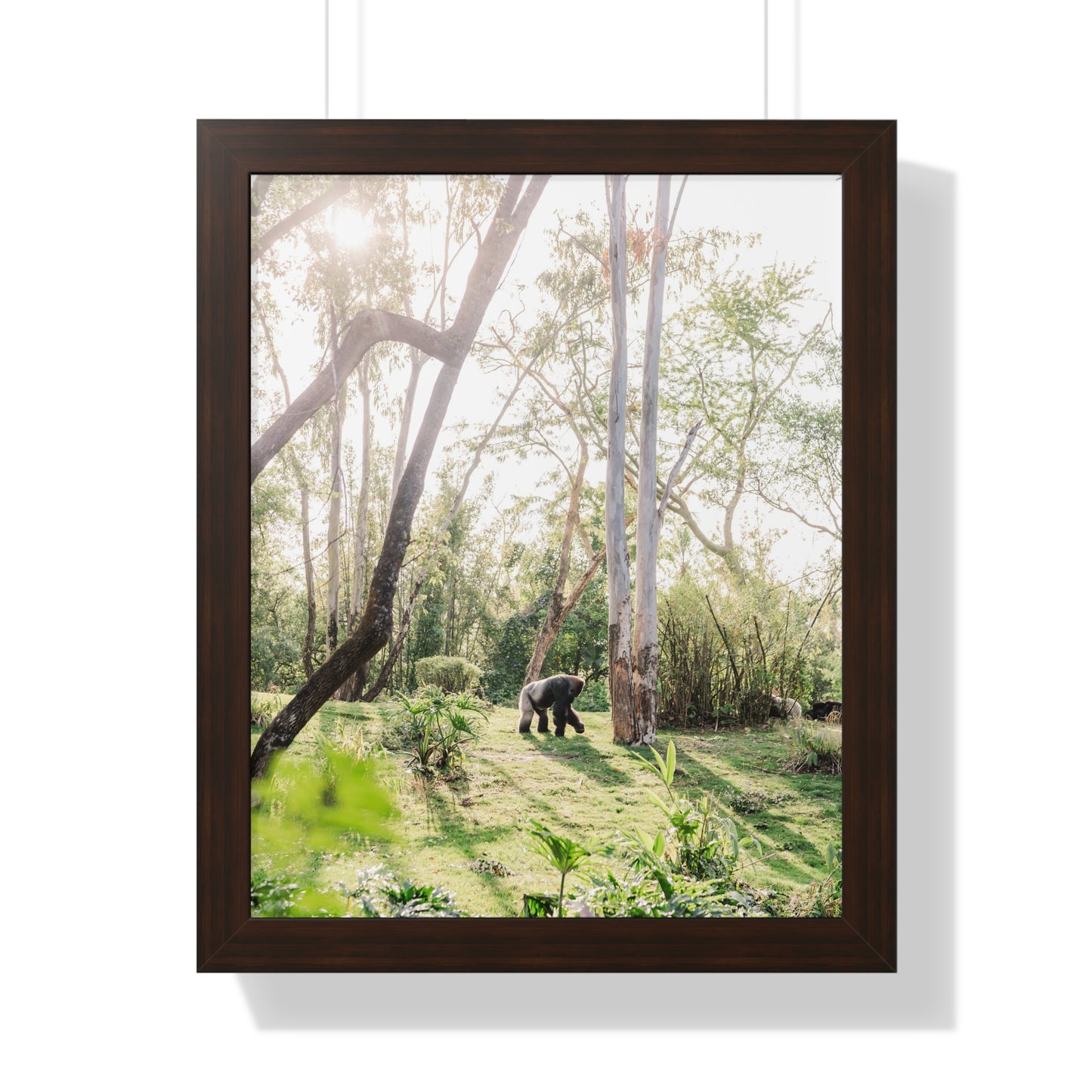 Gorilla at Sunrise - Framed Print