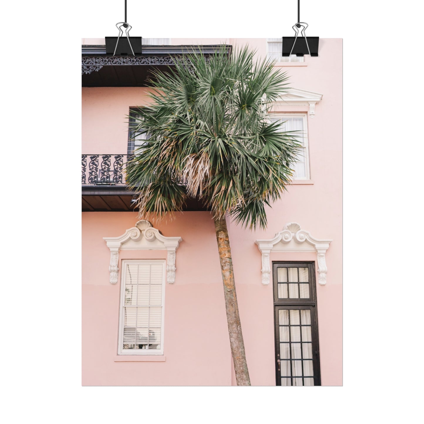 Charleston South Carolina Pink Palmetto - Unframed Print