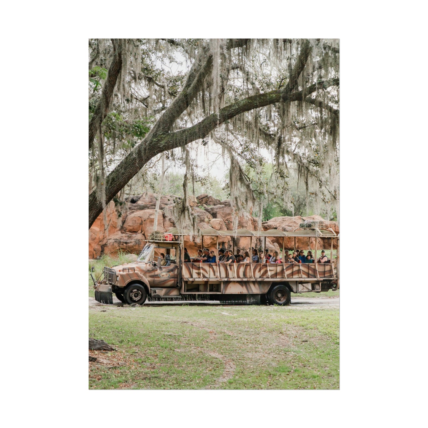 A Safari Truck - Unframed Print