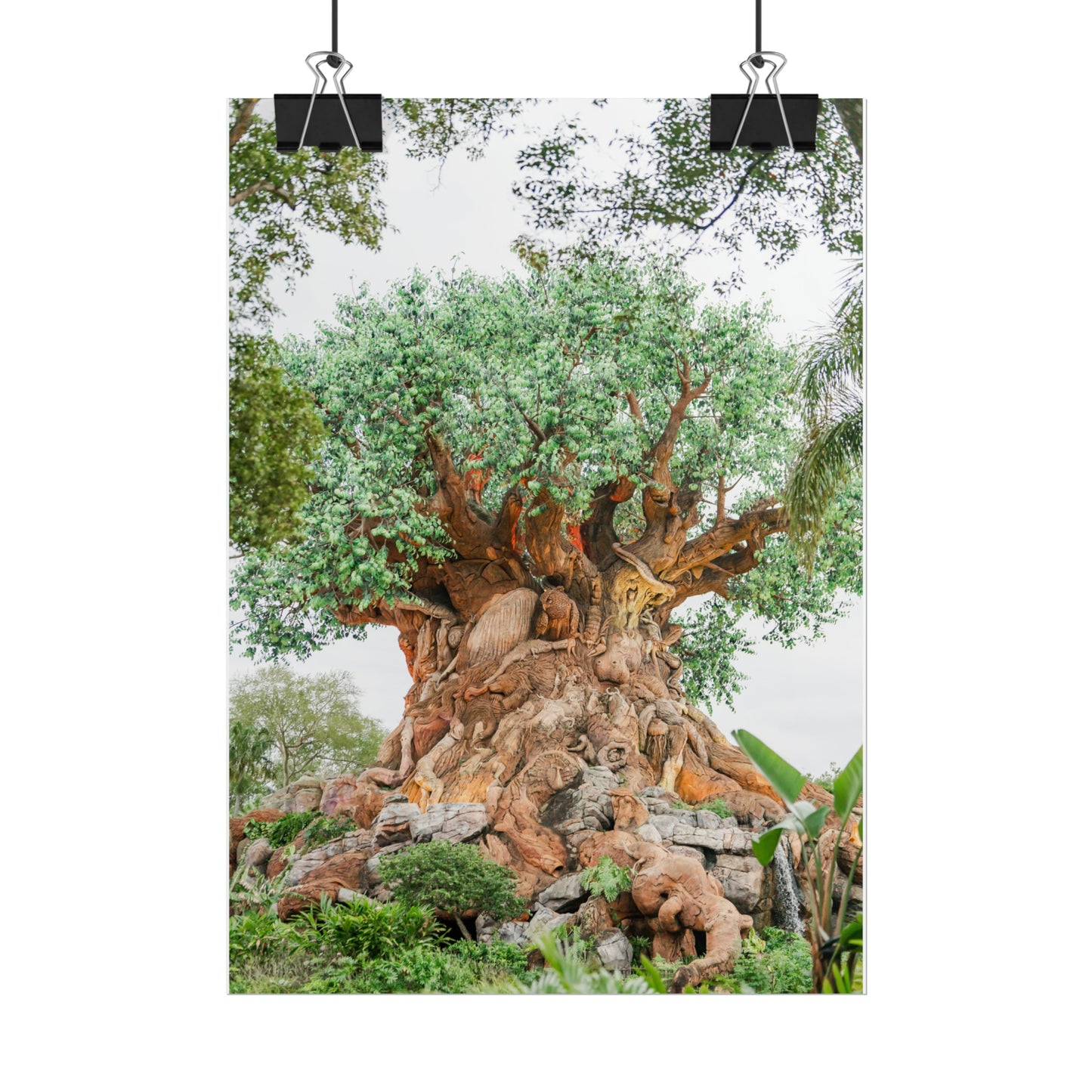 Tree of Life - Unframed Print