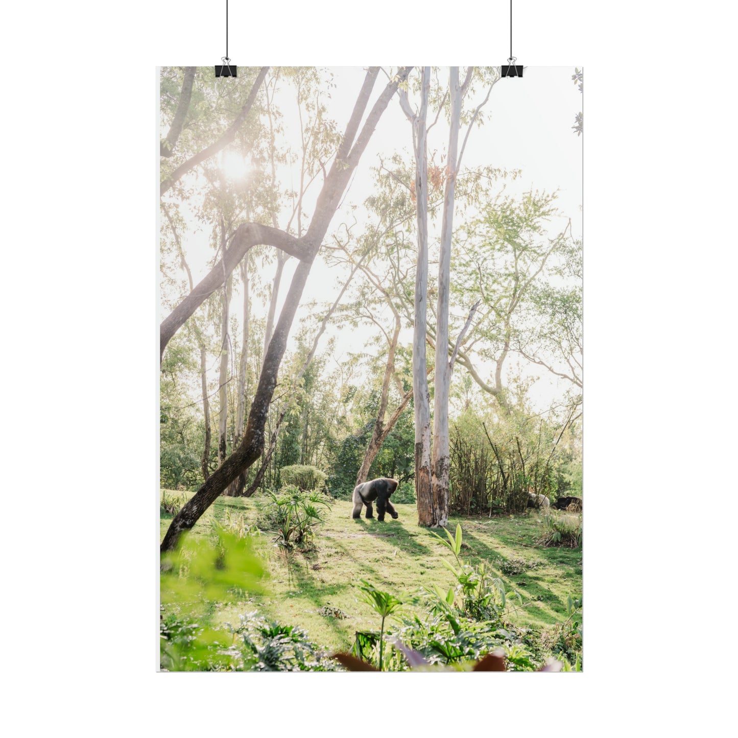 Magical Gorilla - Unframed Print