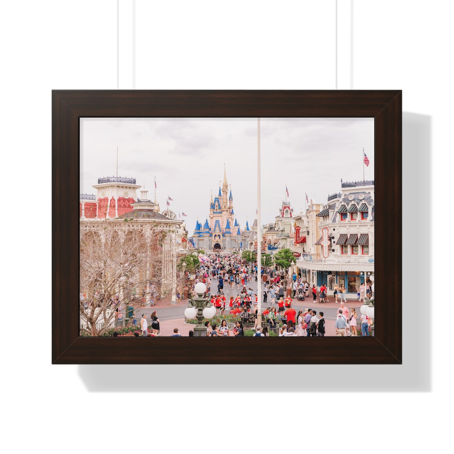 A Realistic Kingdom - Framed Print