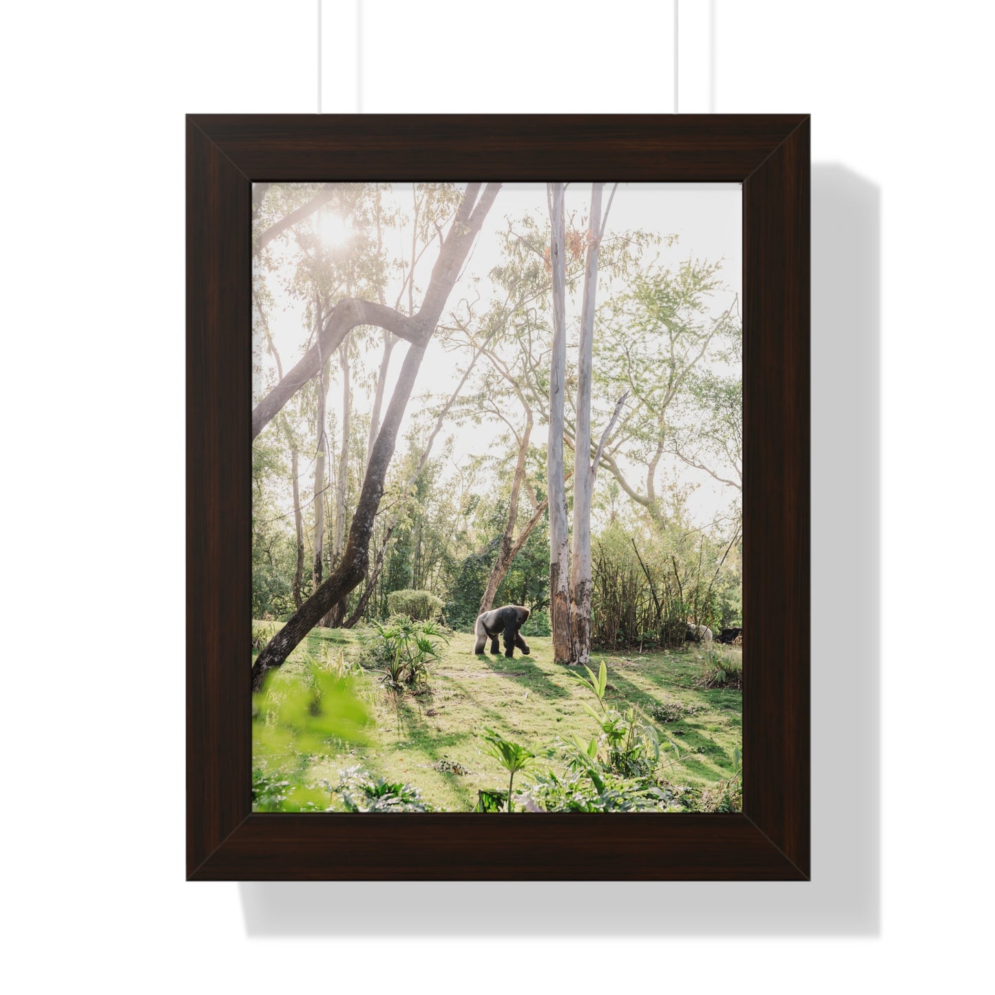 Gorilla at Sunrise - Framed Print