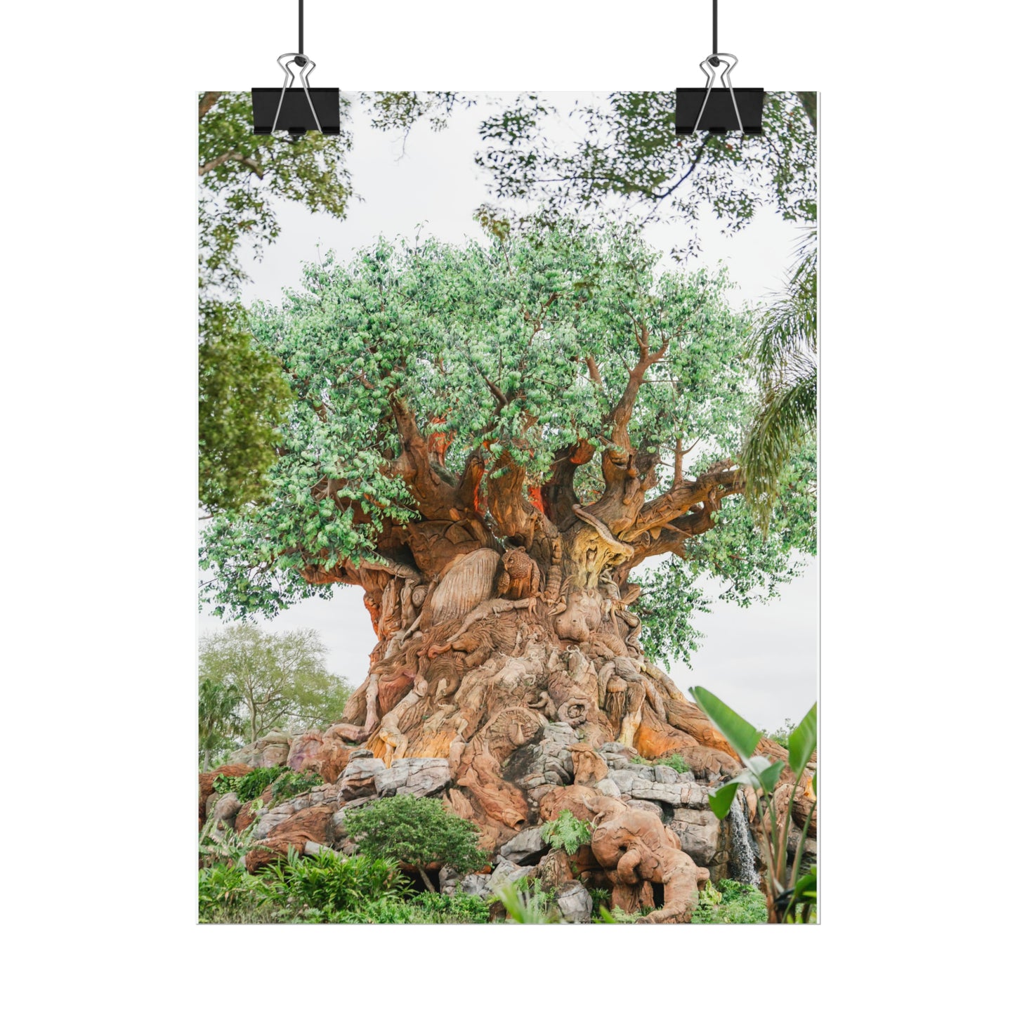 Tree of Life - Unframed Print