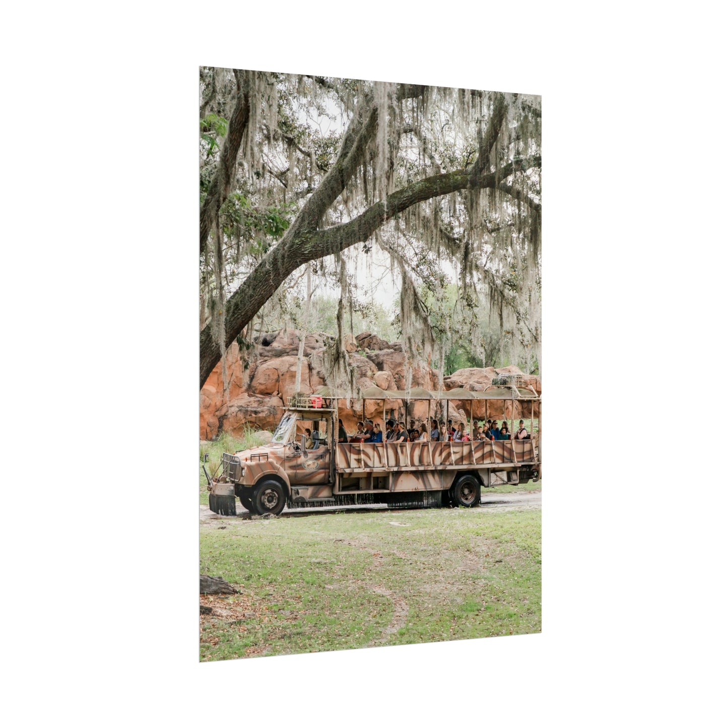 A Safari Truck - Unframed Print