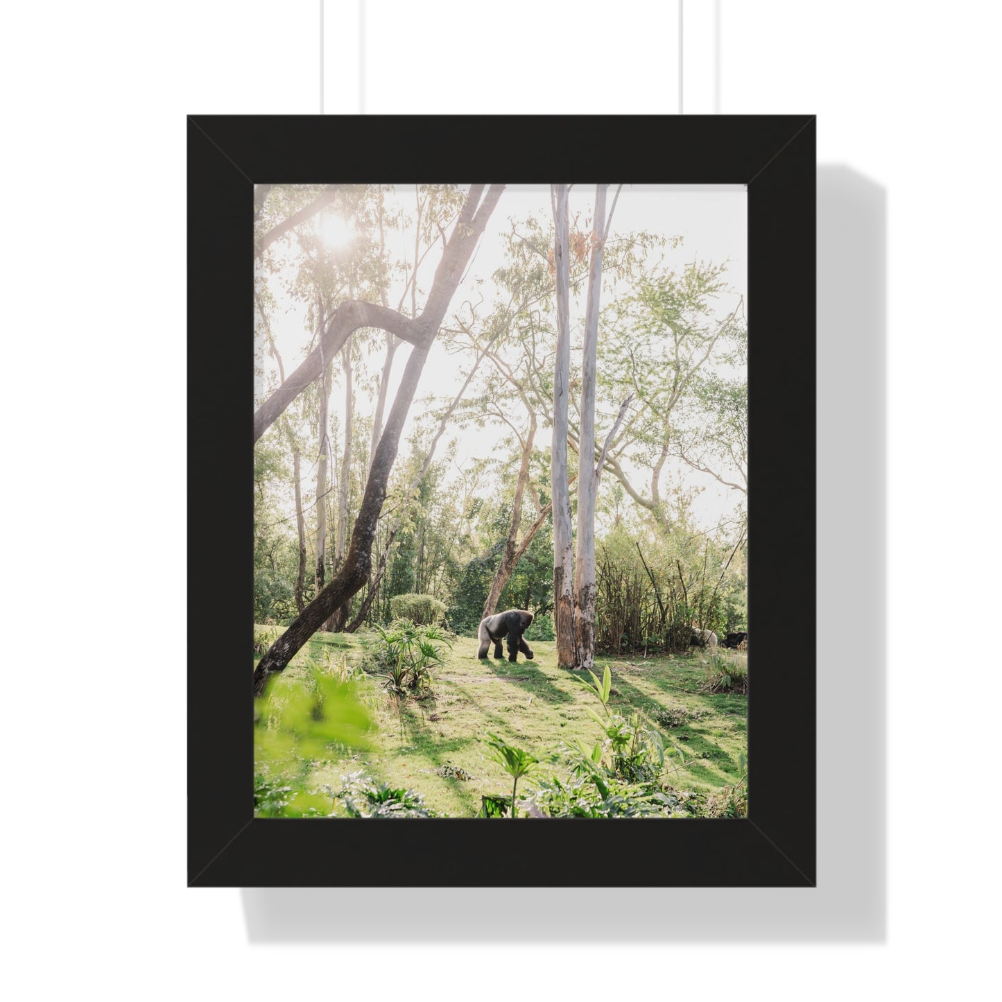 Gorilla at Sunrise - Framed Print