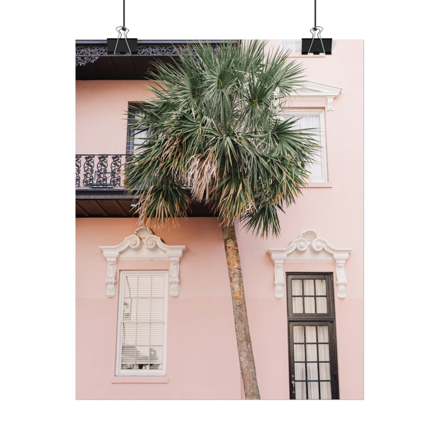 Charleston South Carolina Pink Palmetto - Unframed Print