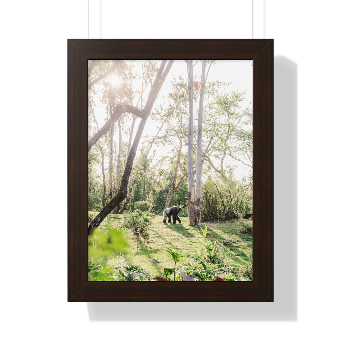 Gorilla at Sunrise - Framed Print