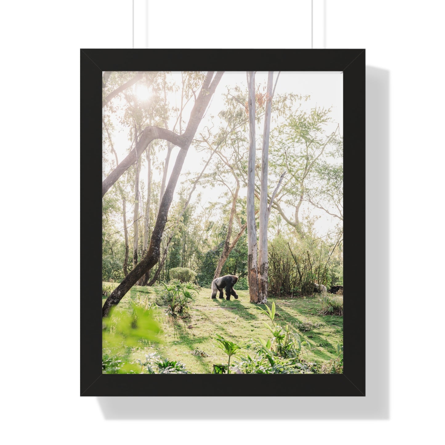 Gorilla at Sunrise - Framed Print