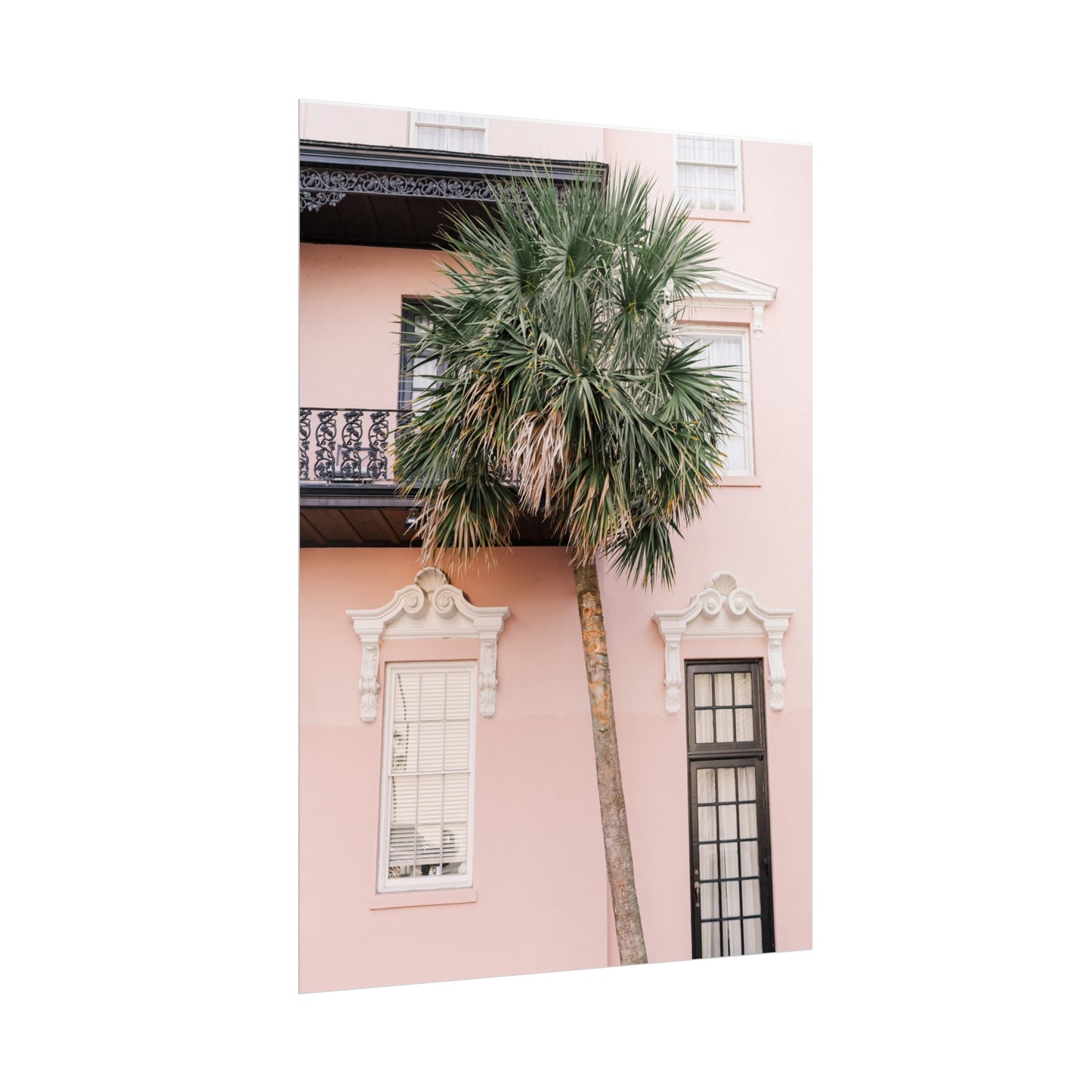 Charleston South Carolina Pink Palmetto - Unframed Print